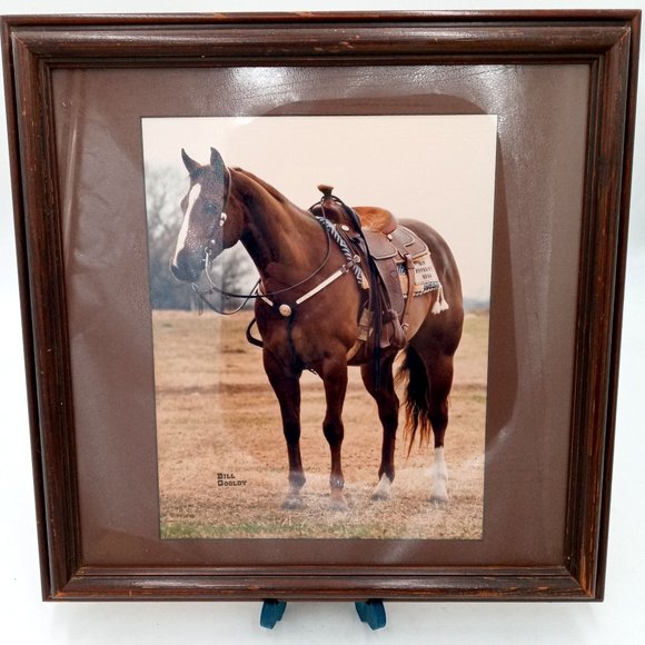 Beautiful Horse Photograph Framed Found Photo Art Cowboy Western Ranch Decor 14 - Picture 5 of 13